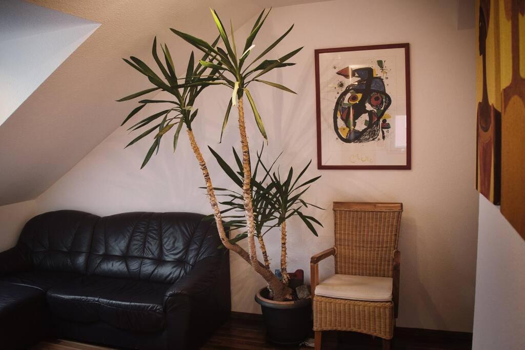 Tolle Wohnung In Zentraler Lage In Neu-Ulm Zewnętrze zdjęcie